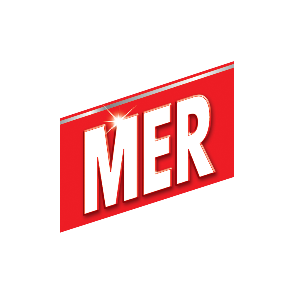 mer-logo2.png